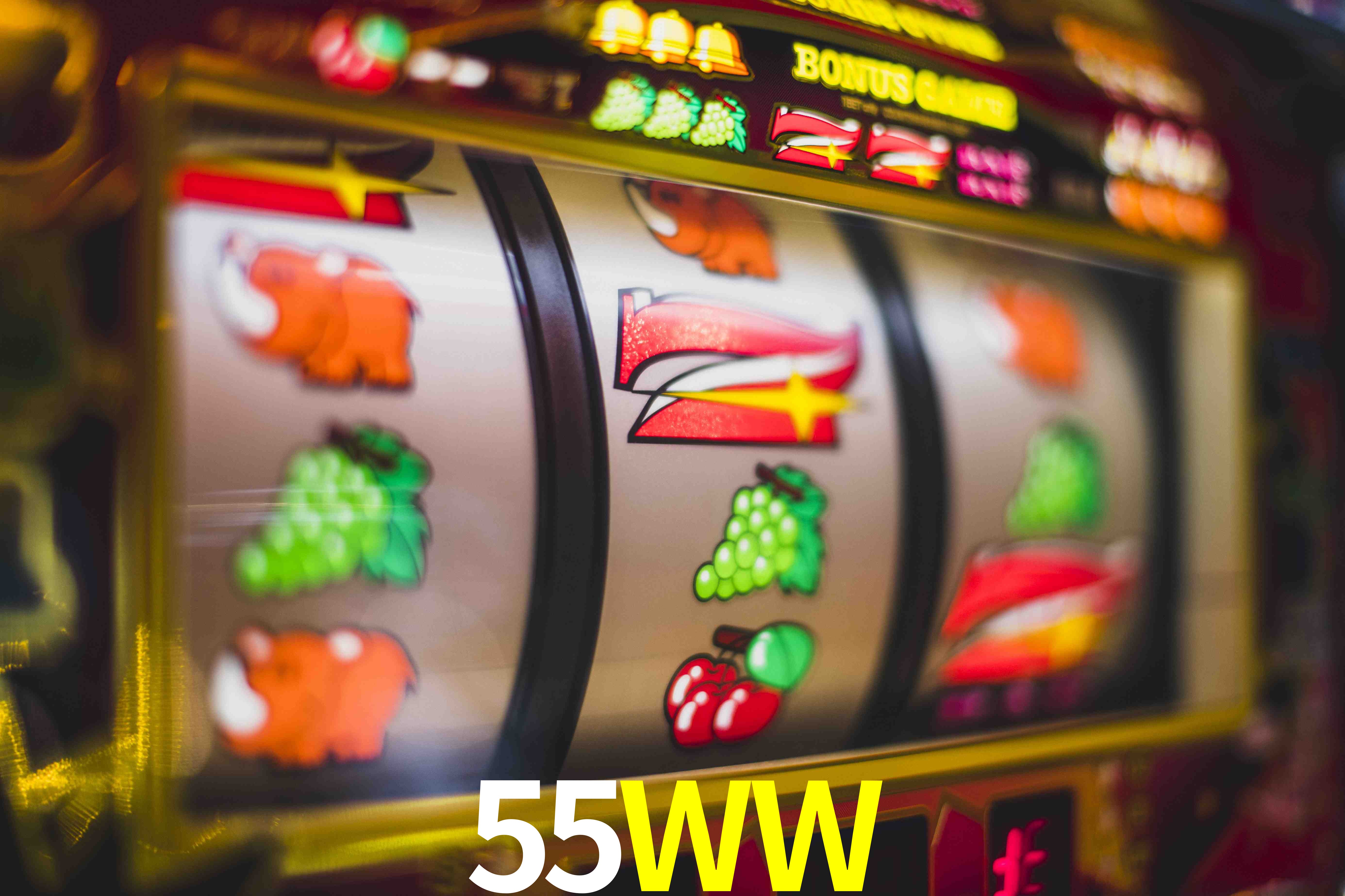 VIP Casino 55WW